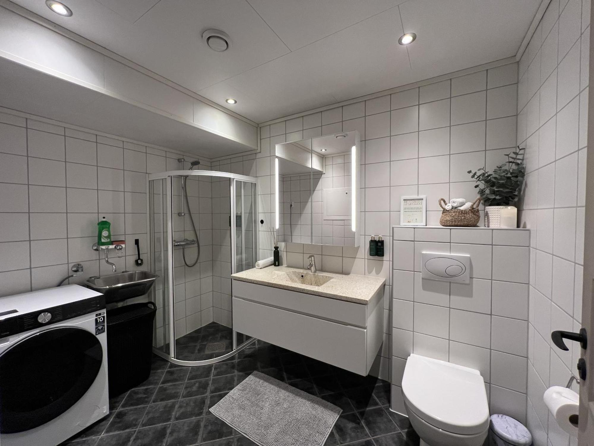 Bratsberg Apartment - With Kitchenette And Free Parking 特隆赫姆 外观 照片
